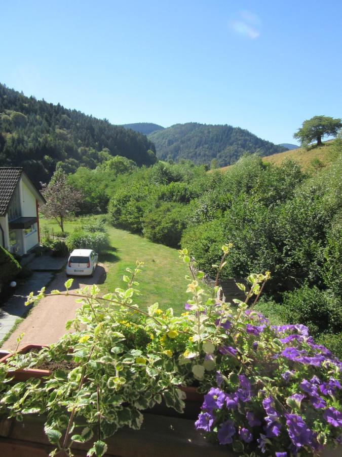 Ferienwohnungen Schwabenhof Schramberg Eksteriør bilde