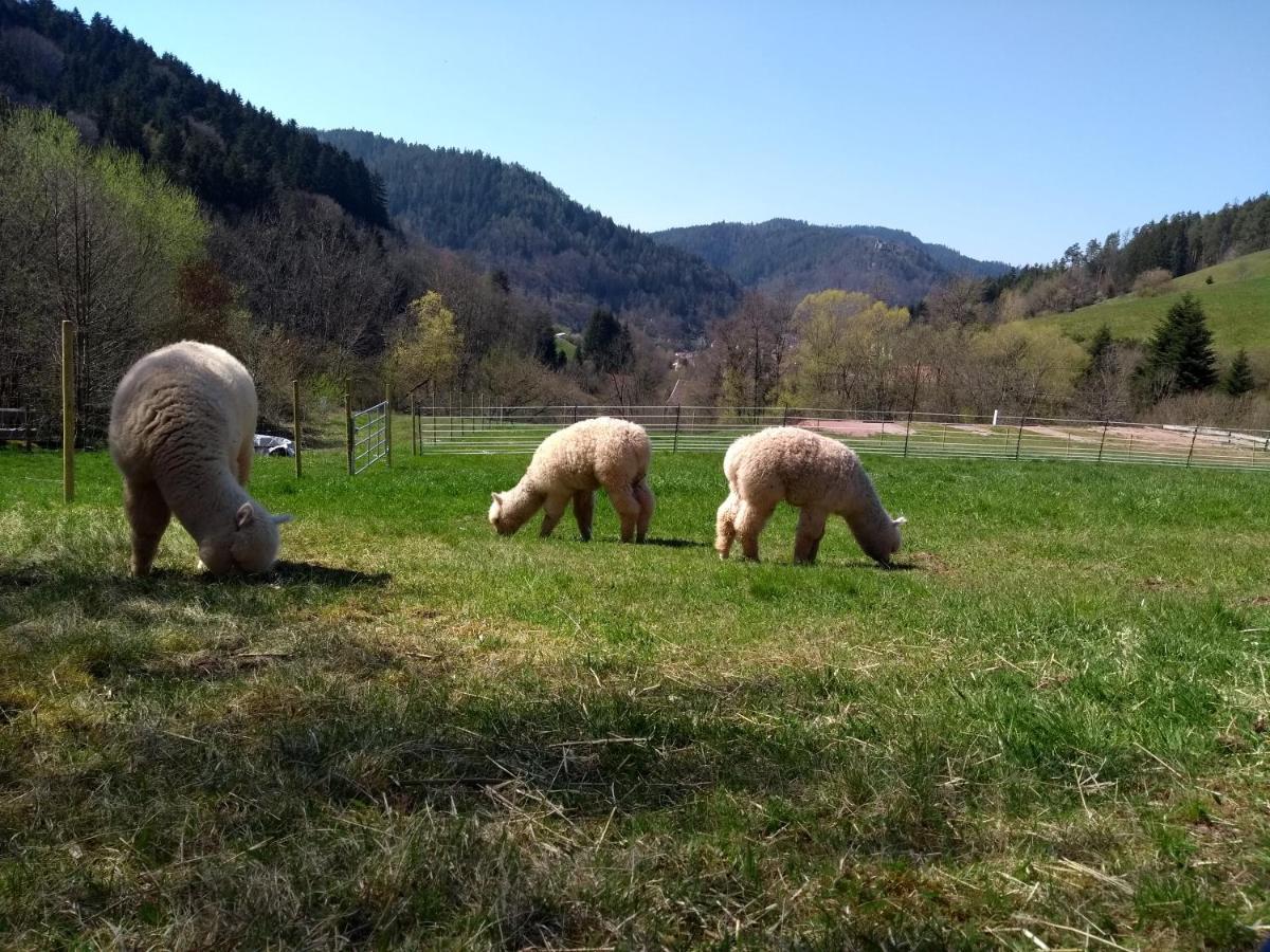 Ferienwohnungen Schwabenhof Schramberg Eksteriør bilde